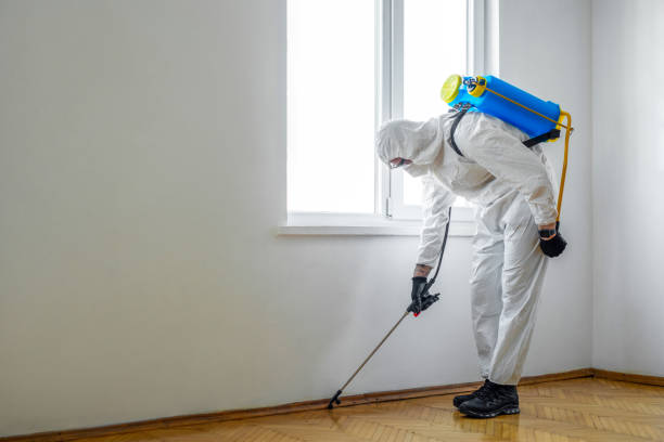 Best Flea Control Services  in Canton, TX