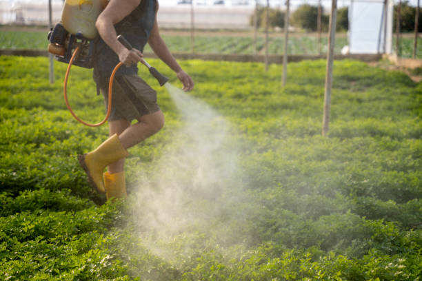 Best Pest Prevention Services  in Canton, TX