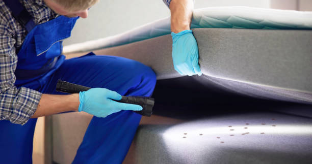 Best Affordable Pest Control Services  in Canton, TX